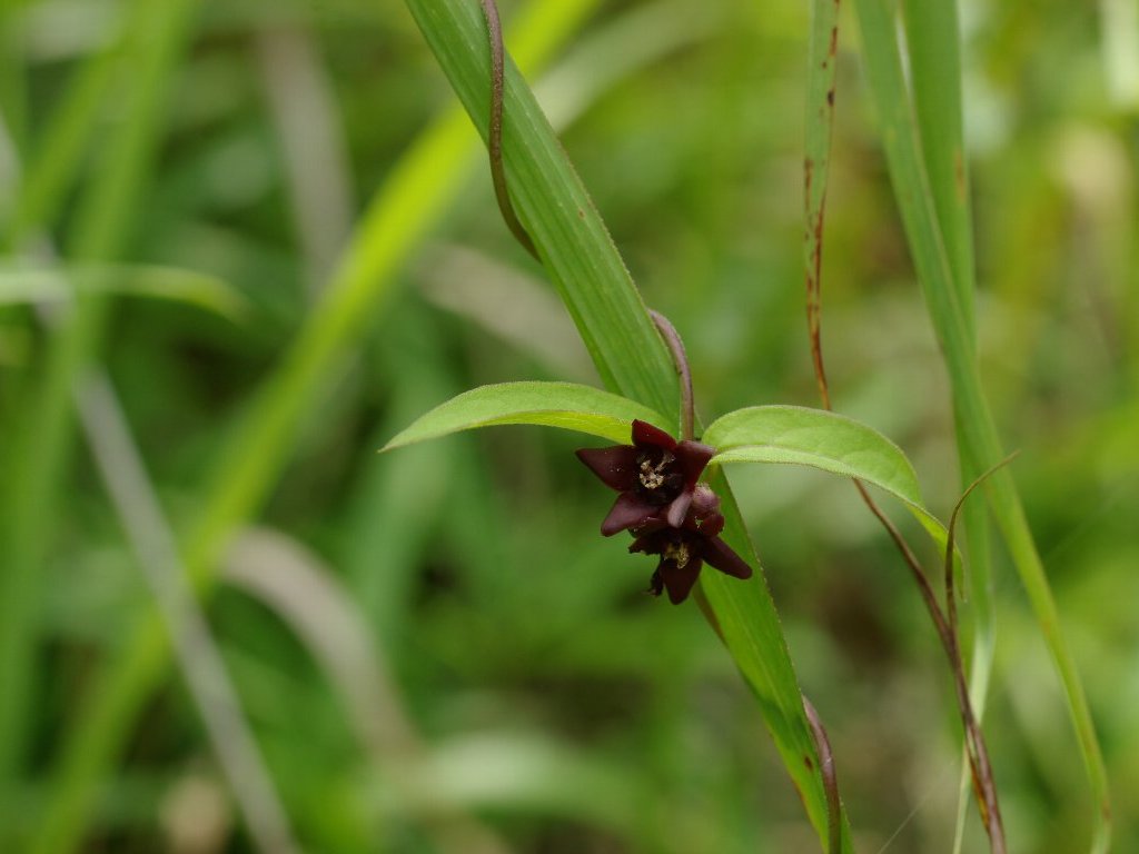 �^�`�J�����d��