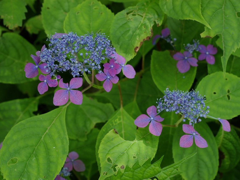 ���}�A�W�T�C