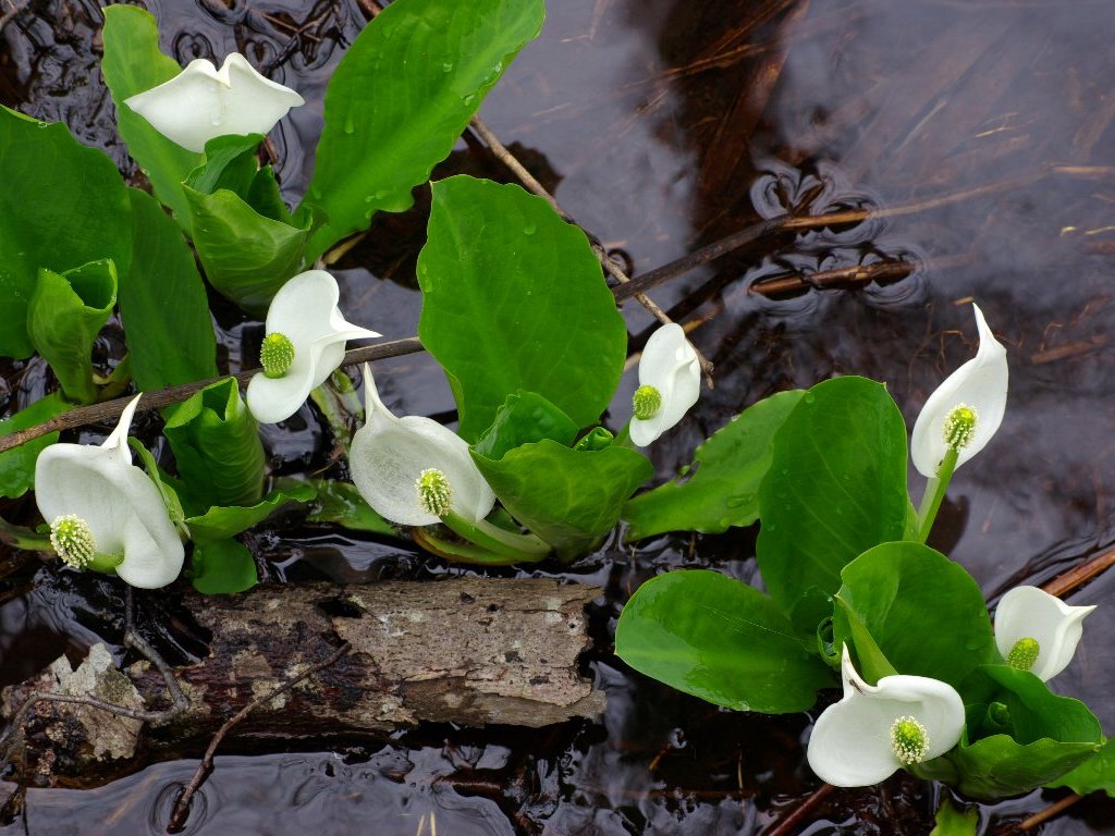 �~�Y�o�V���E