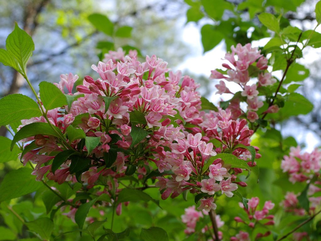 �^�j�E�c�M