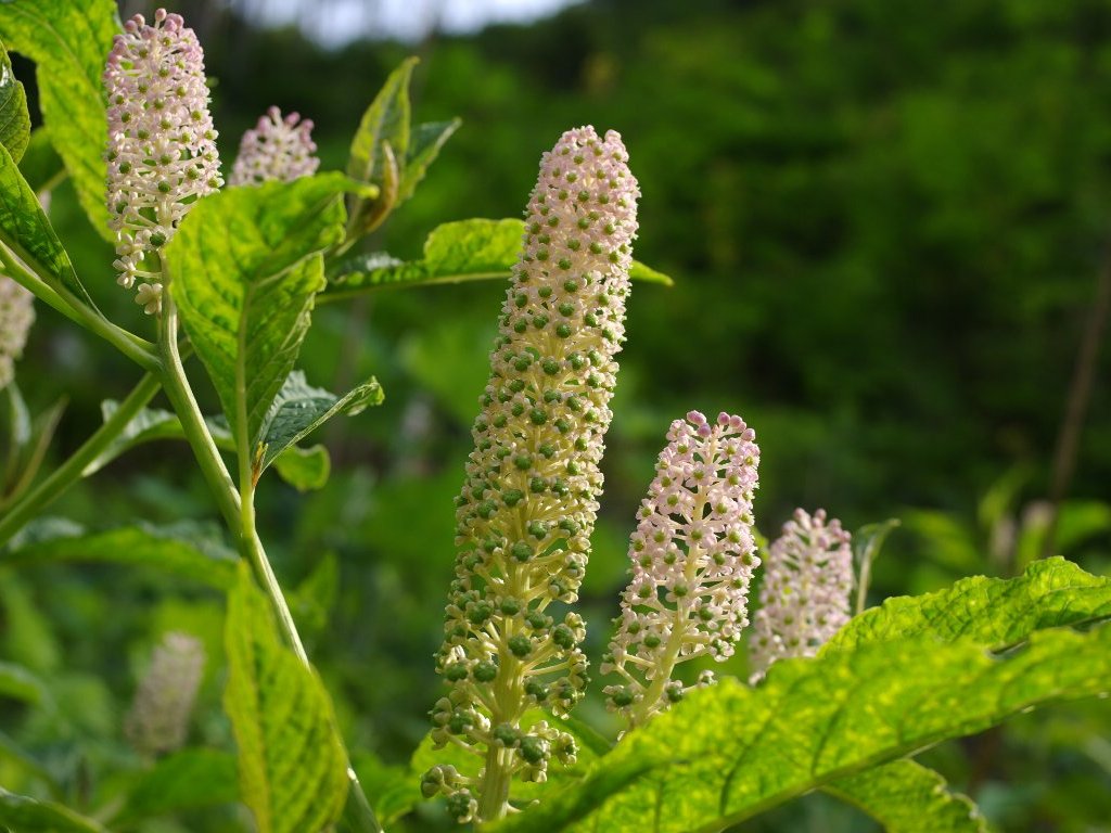 �}���~�m���}�S�{�E