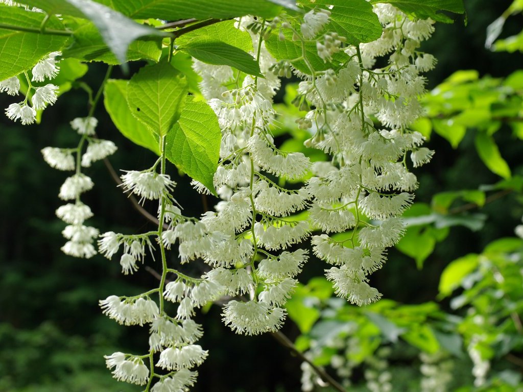 �I�I�o�A�T�K��