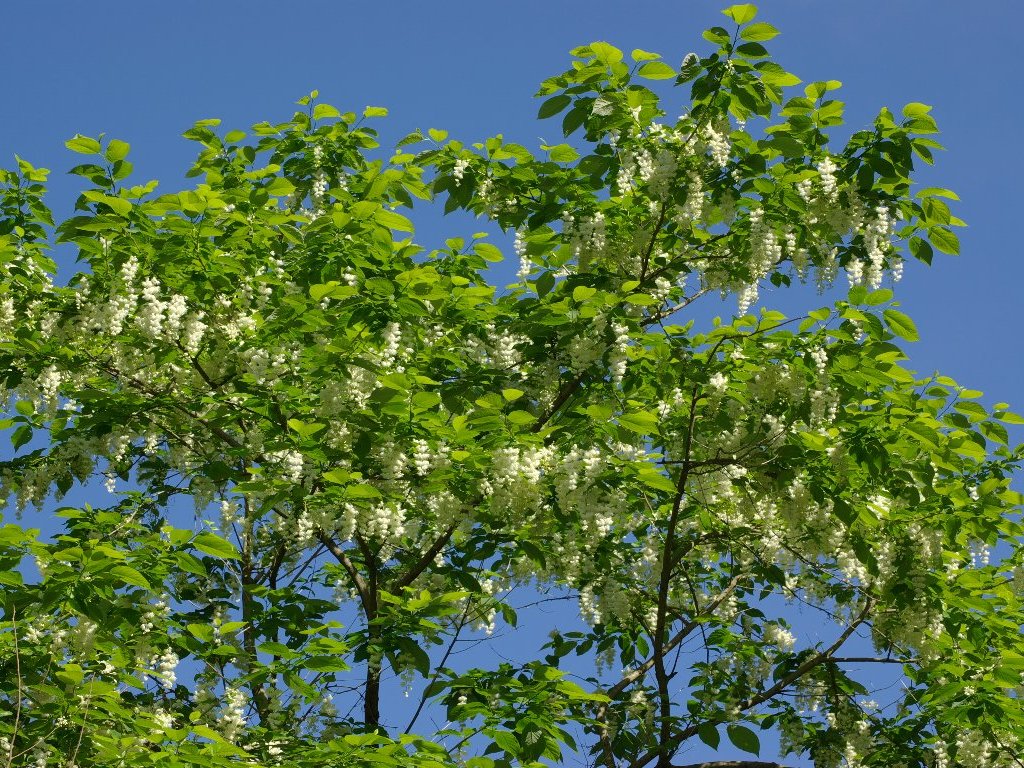 �I�I�o�A�T�K��