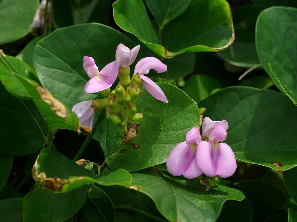 �n�}�i�^�}��