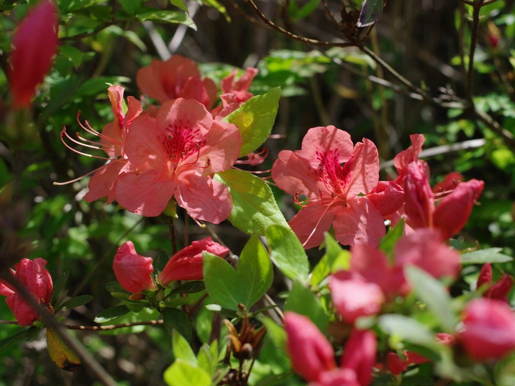 ���}�c�c�W