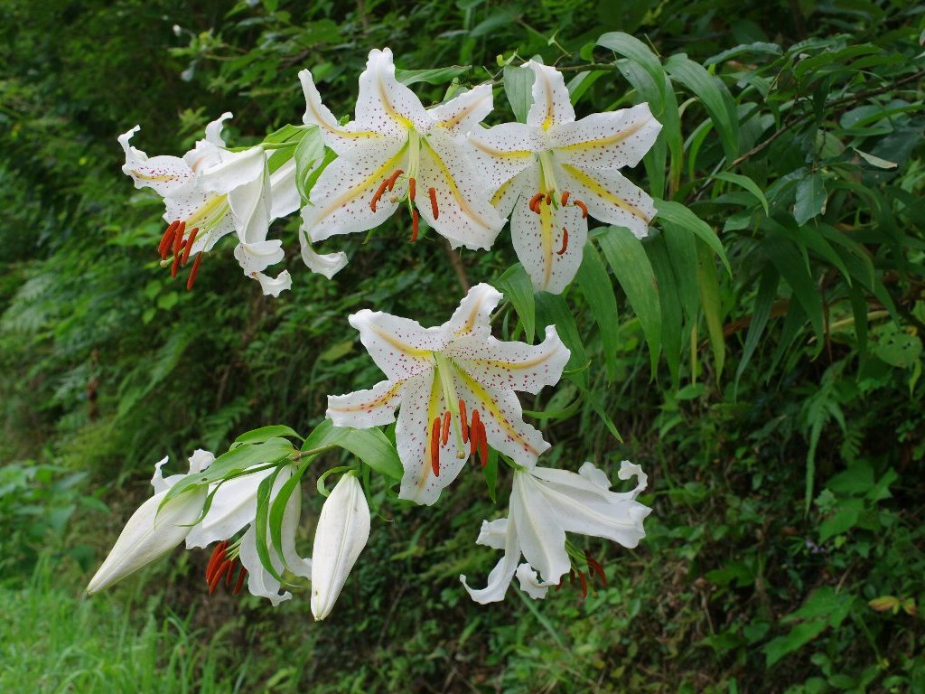 ���}����