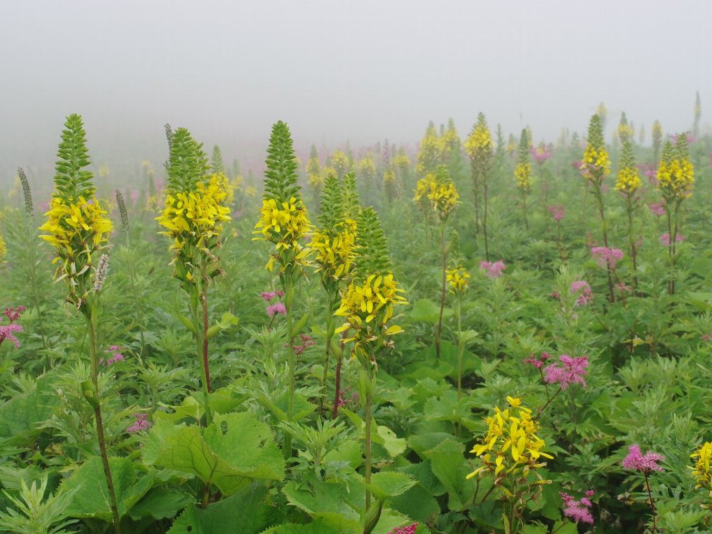 ���^�J���R�E