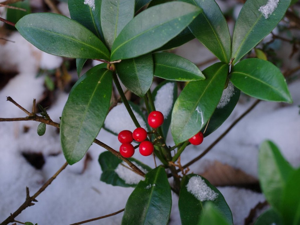 �~���}�V�L�~