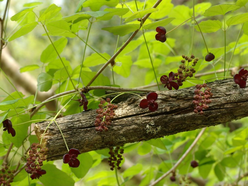 �~�c�o�A�P�r