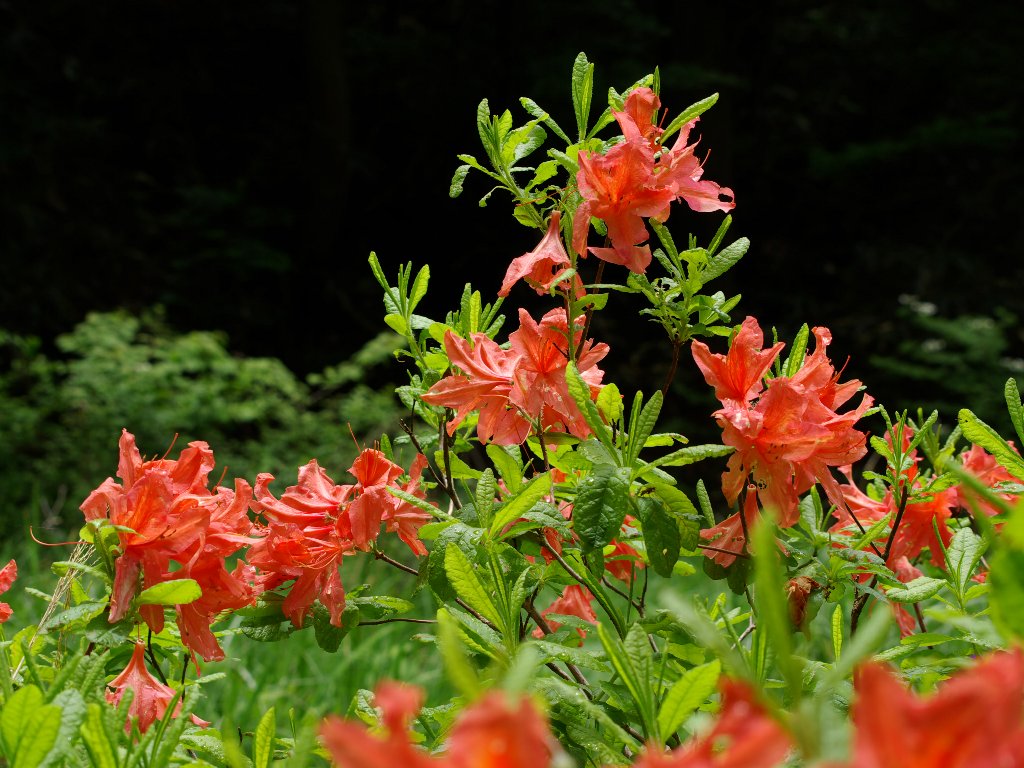 r�����Q�c�c�W