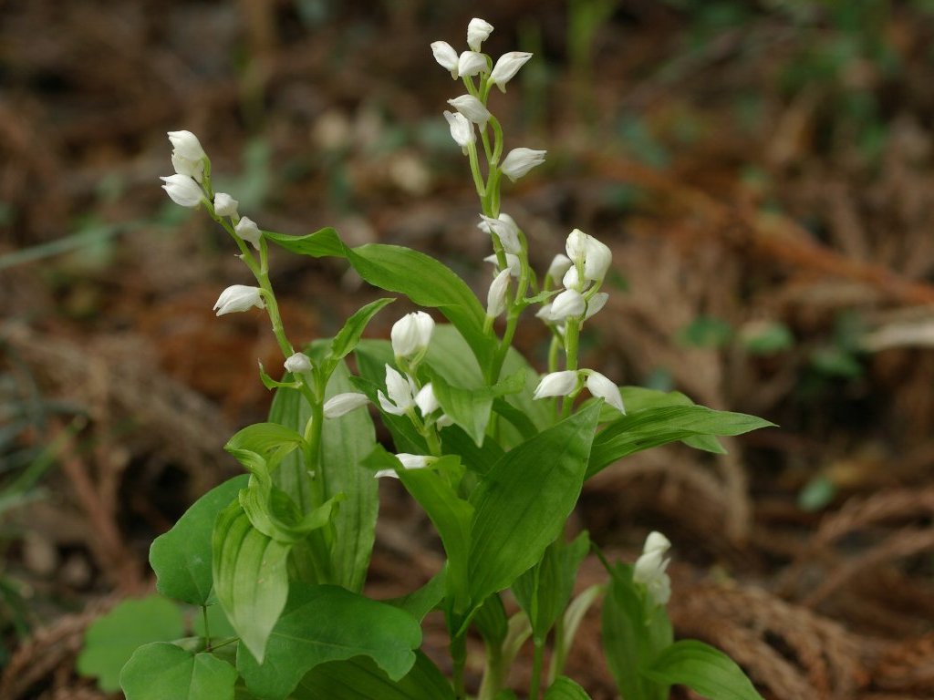 �M������