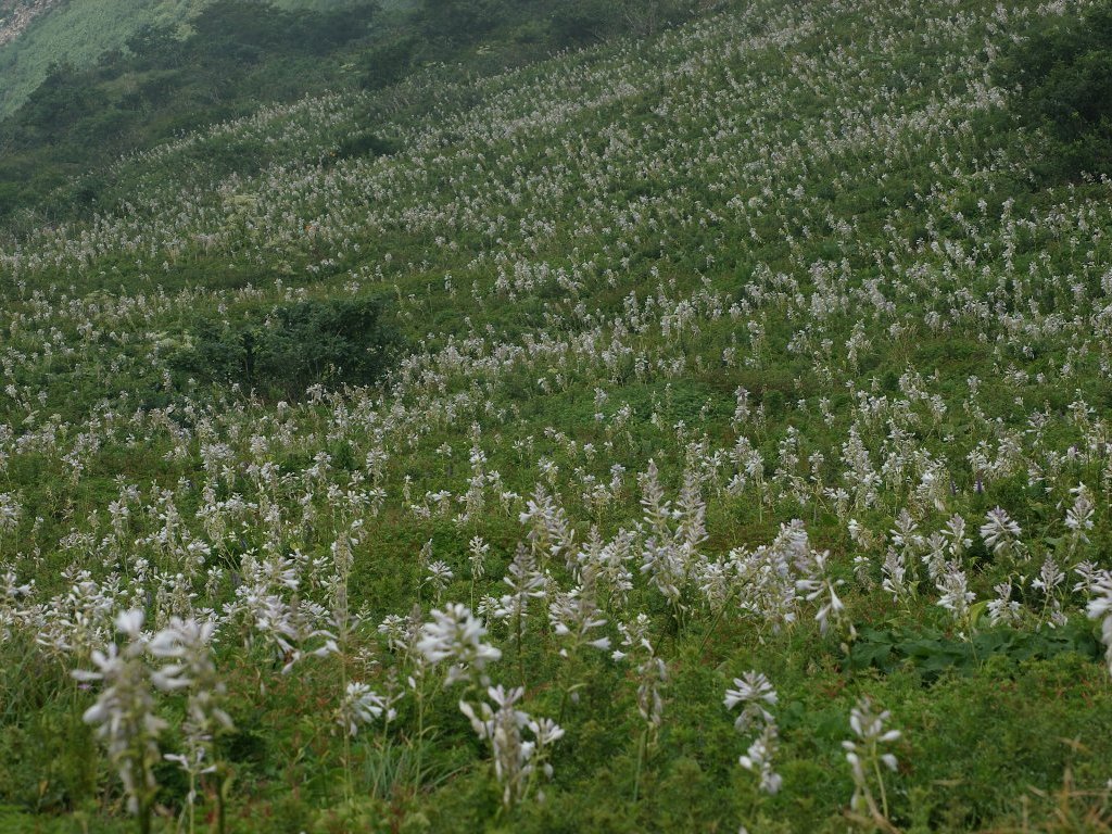 �I�I�o�M�{�E�V