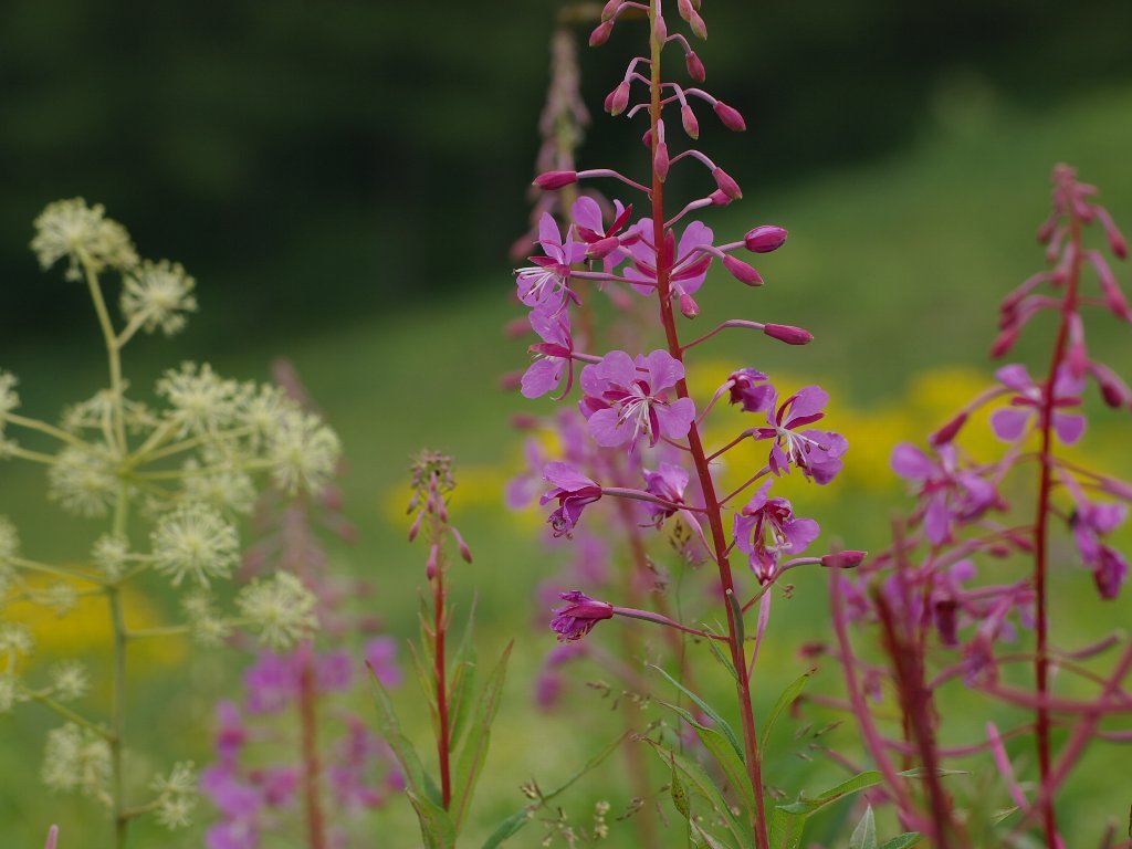 ���i�M����