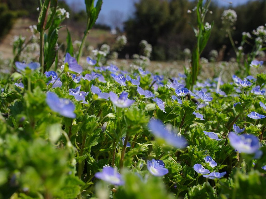 �I�I�C�k�m�t�O��