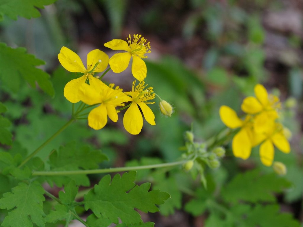 �N�T�m�I�E