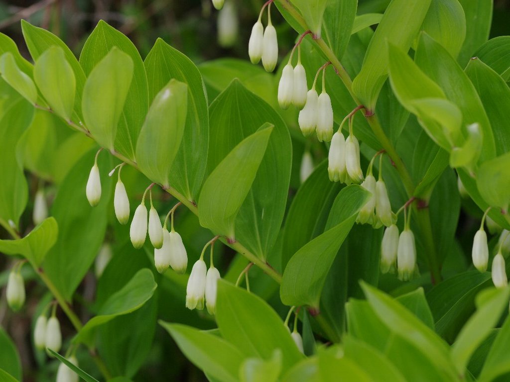 �A�}�h�R��