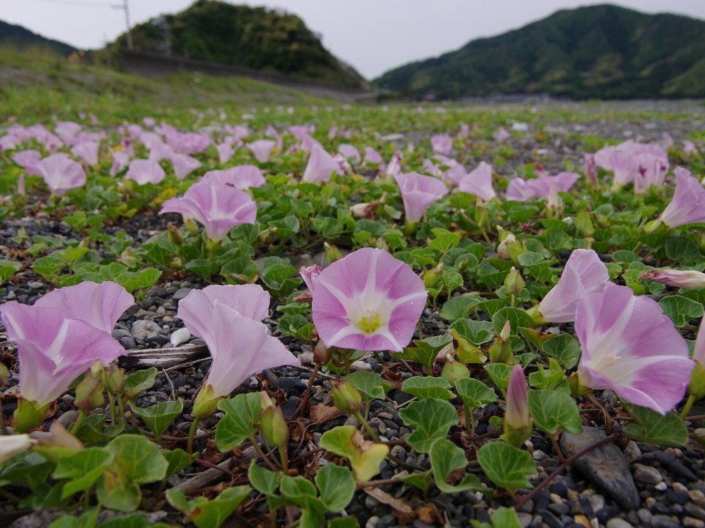 �n�}�q���K�I