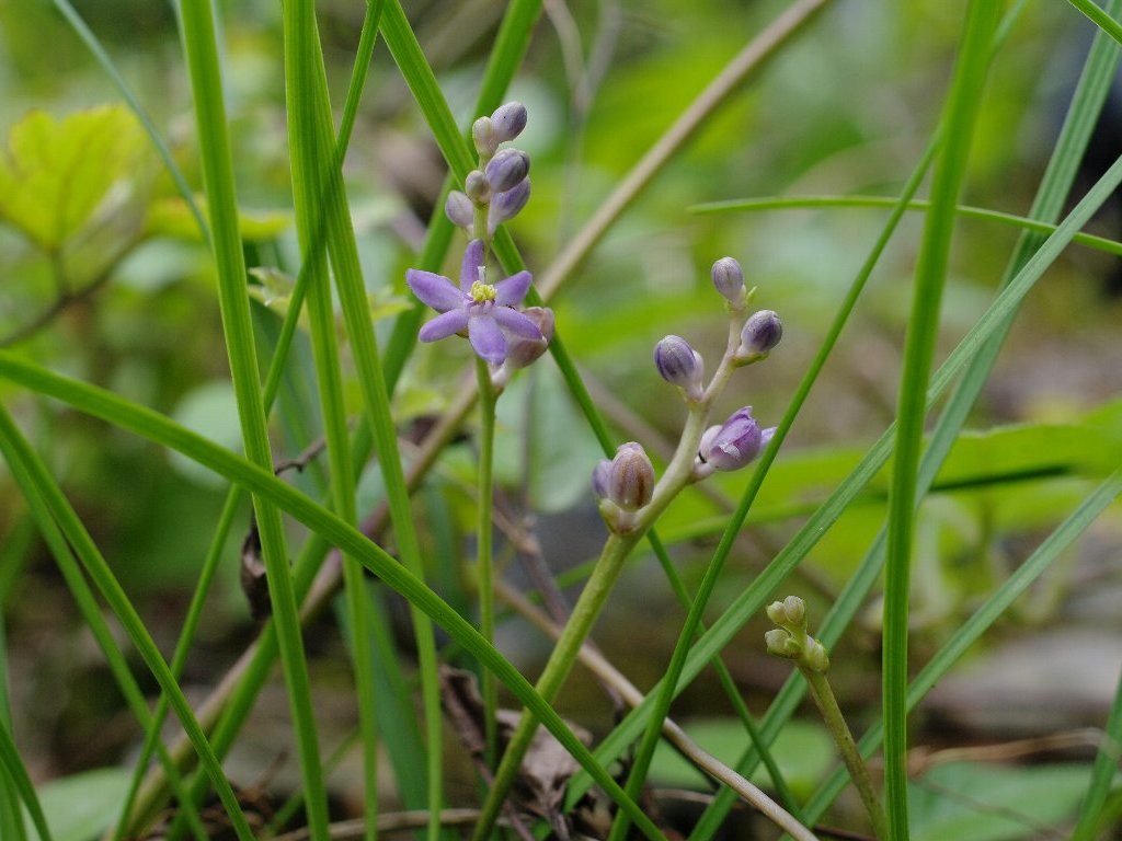 �q�����u����