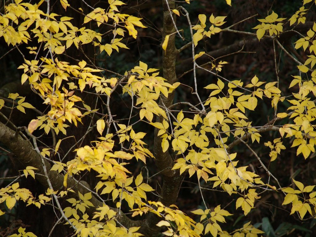 �^�J�m�c��