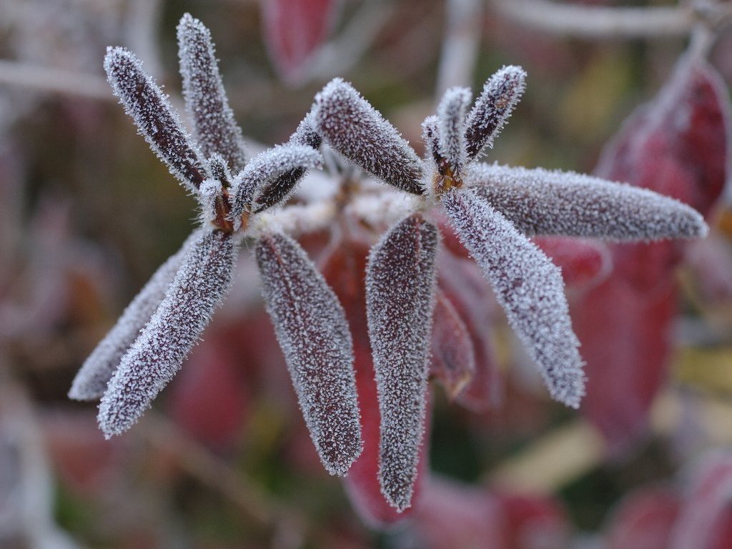 ���`�c�c�W