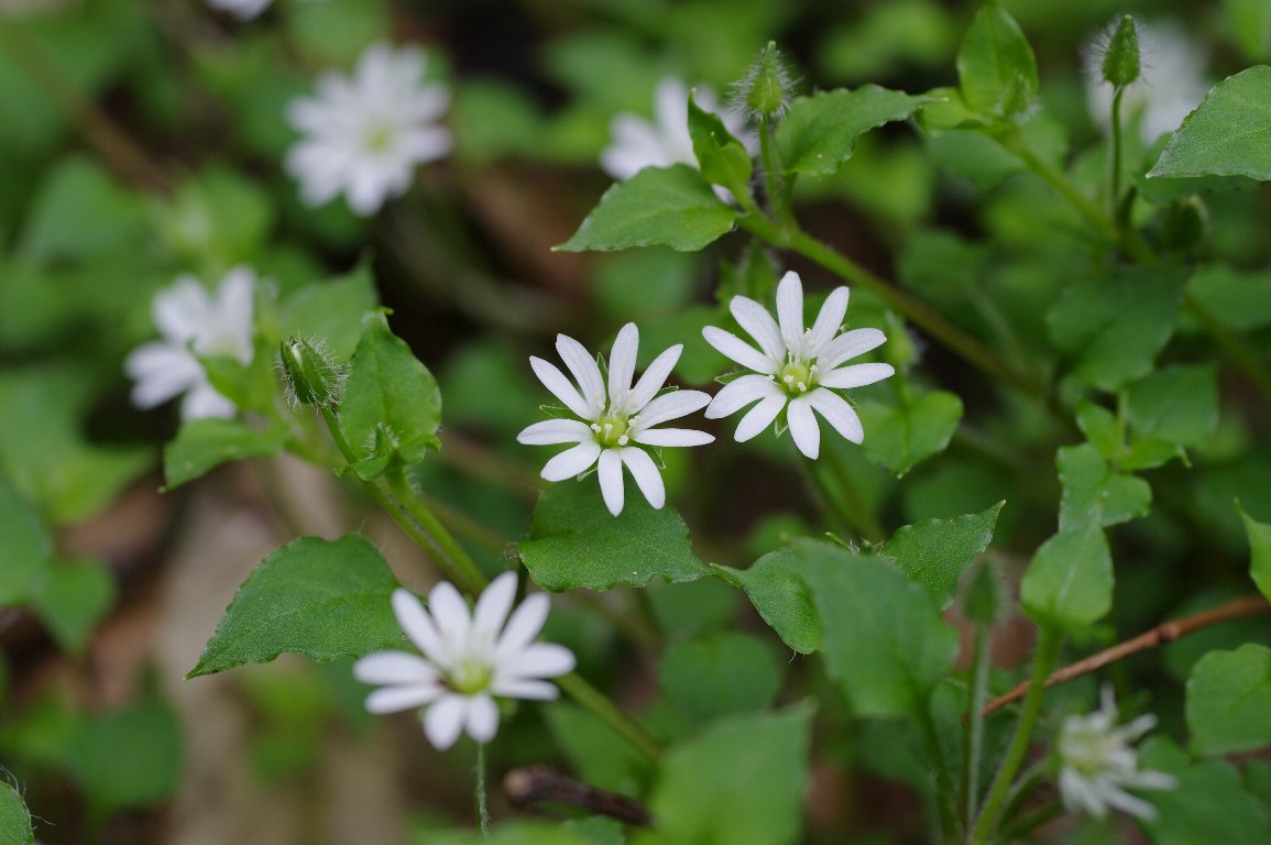 �~���}�n�R�x