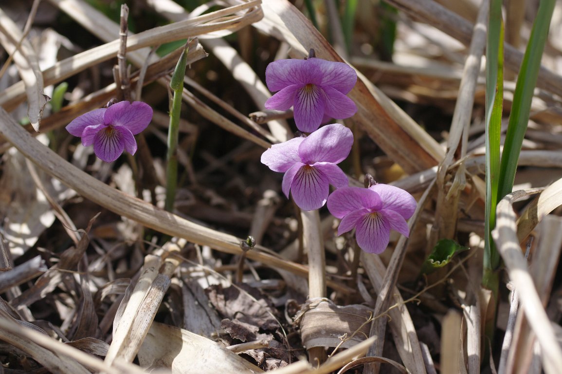 �A�P�{�m�X�~��