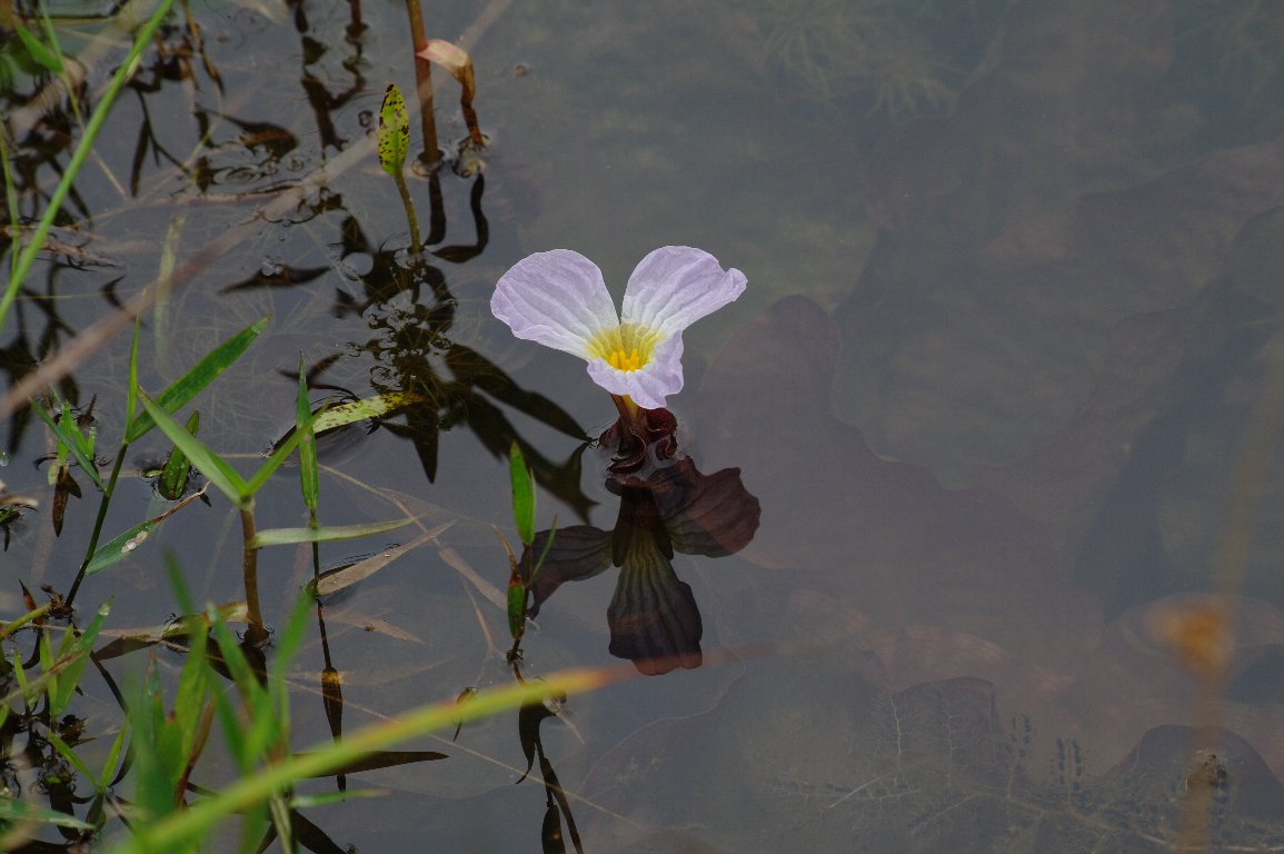 �~�Y�I�I�o�R