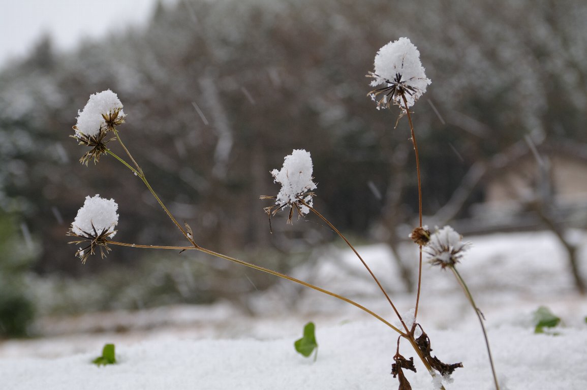 �Z���_���O�T