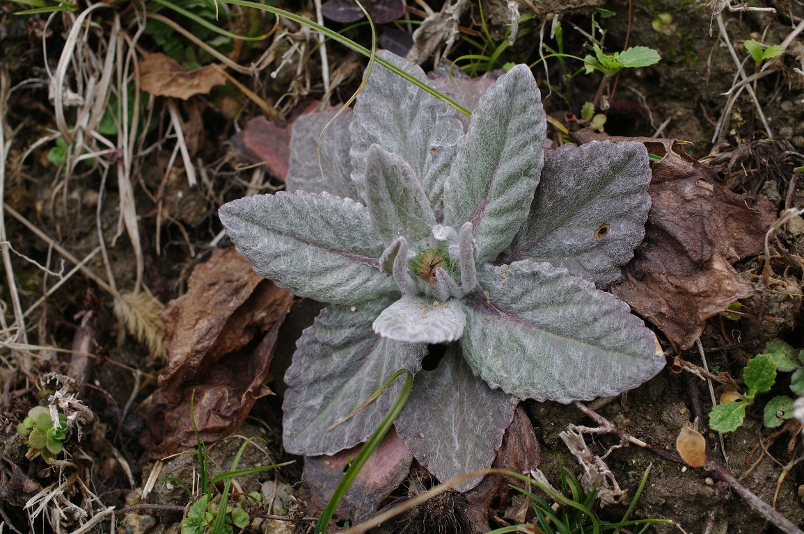 �I�J�I�O���}