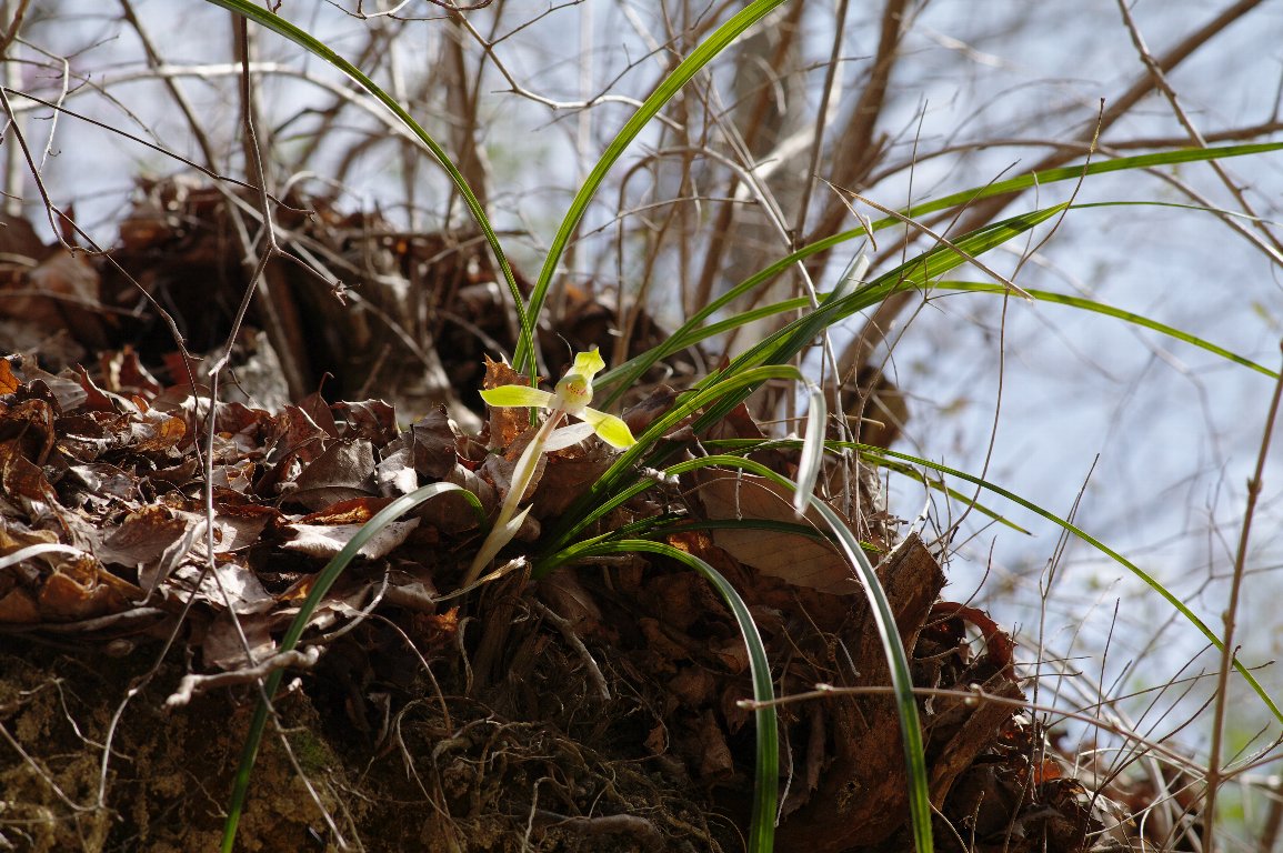 �V��������