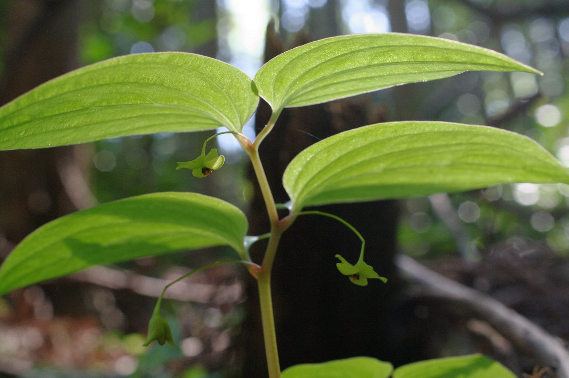 �i�x����