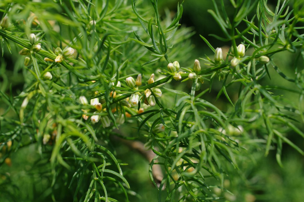 �L�W�J�N�V