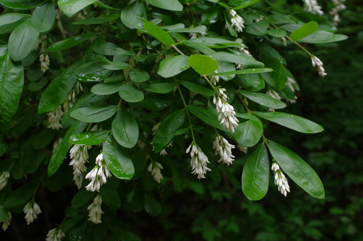 �C�{�^�m�L