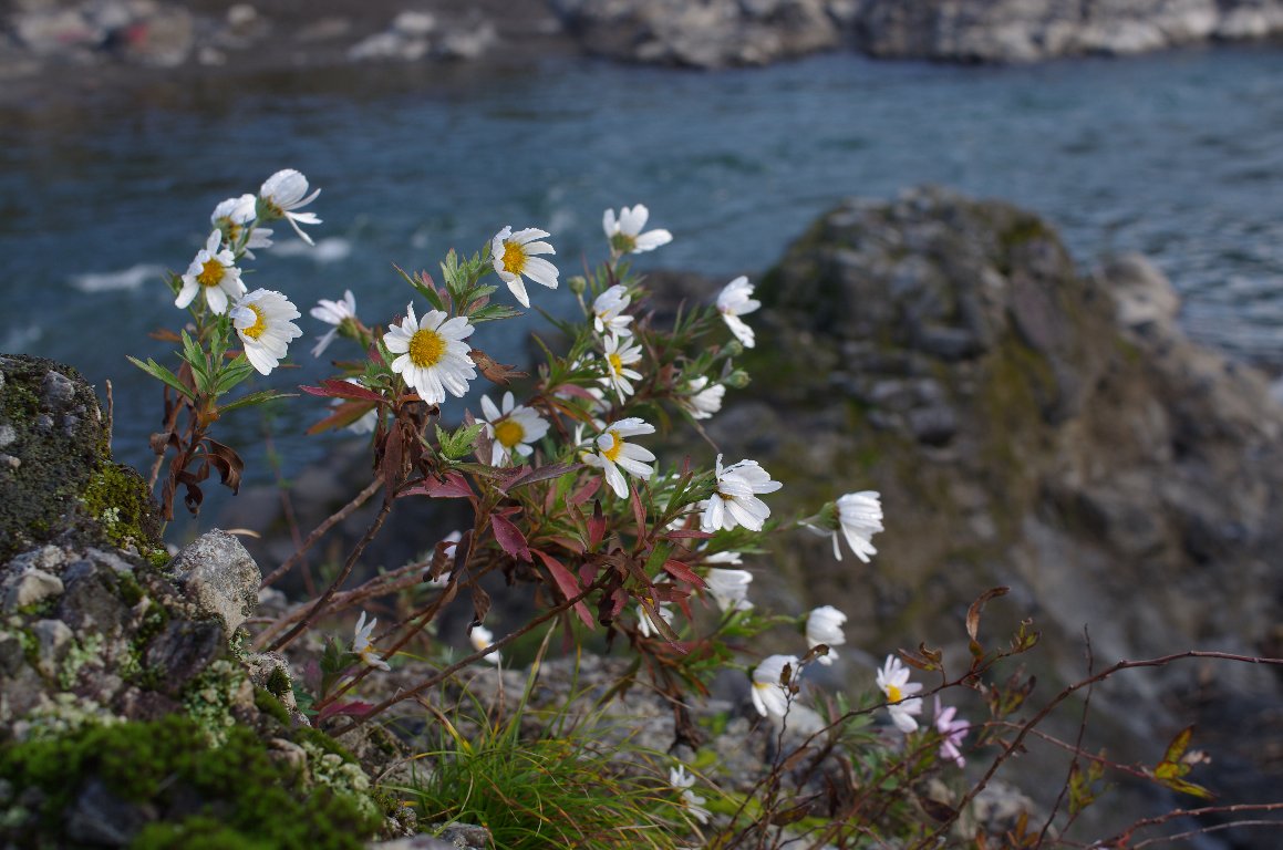 �i�J�K���m�M�N