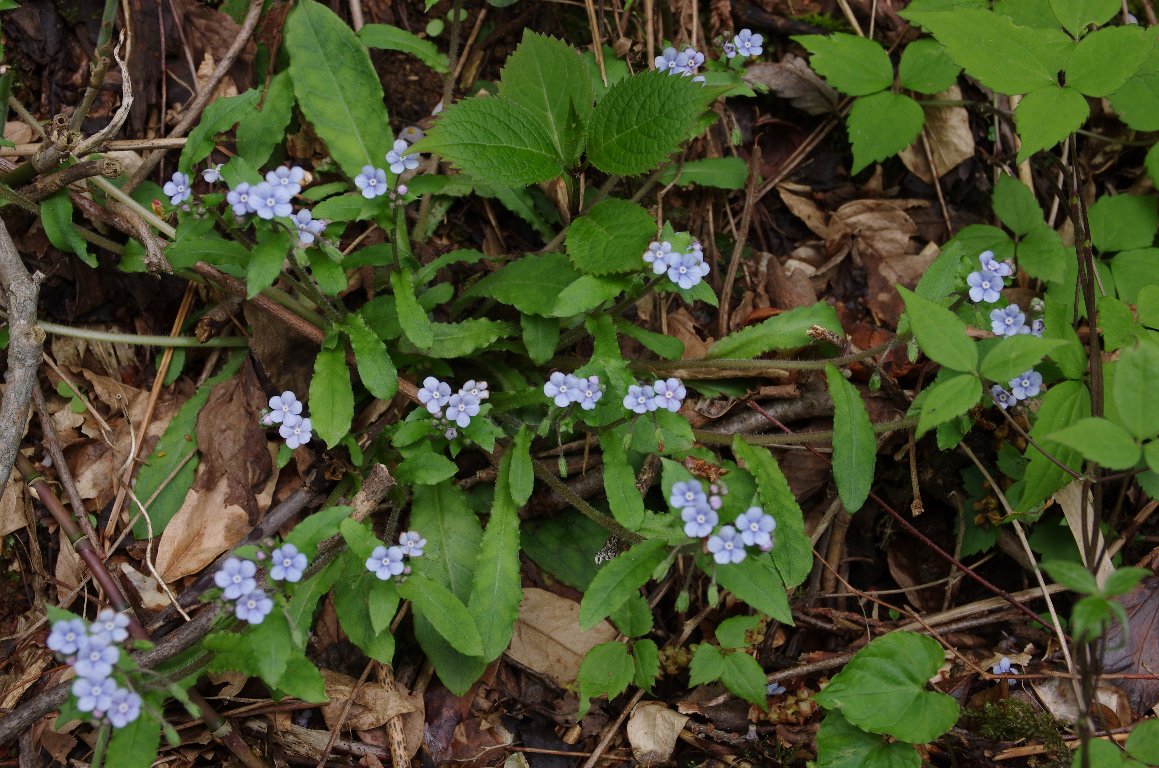 ���}�����\�E