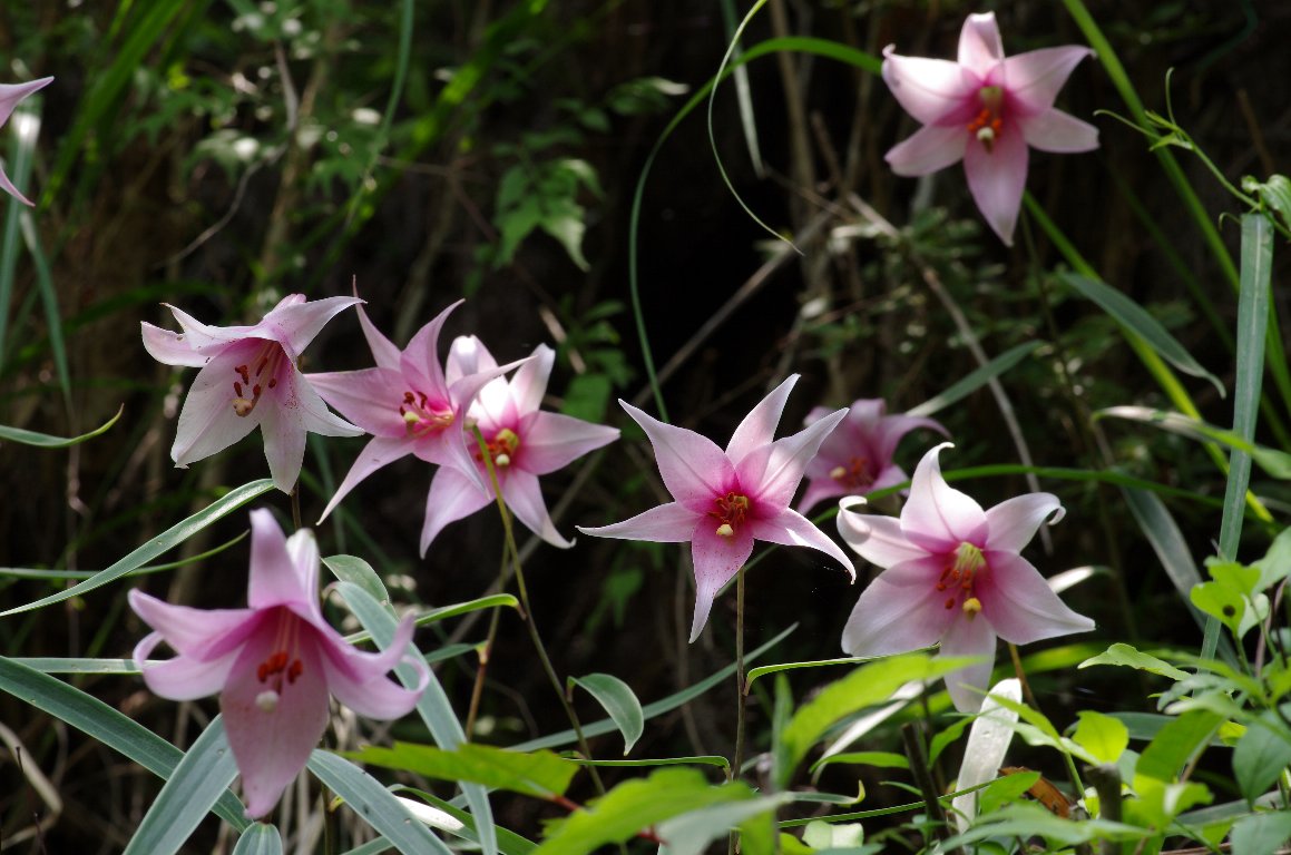 �W�������E����