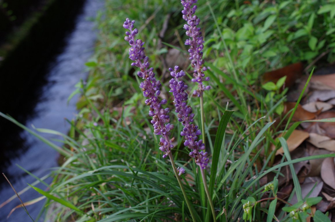 ���u����