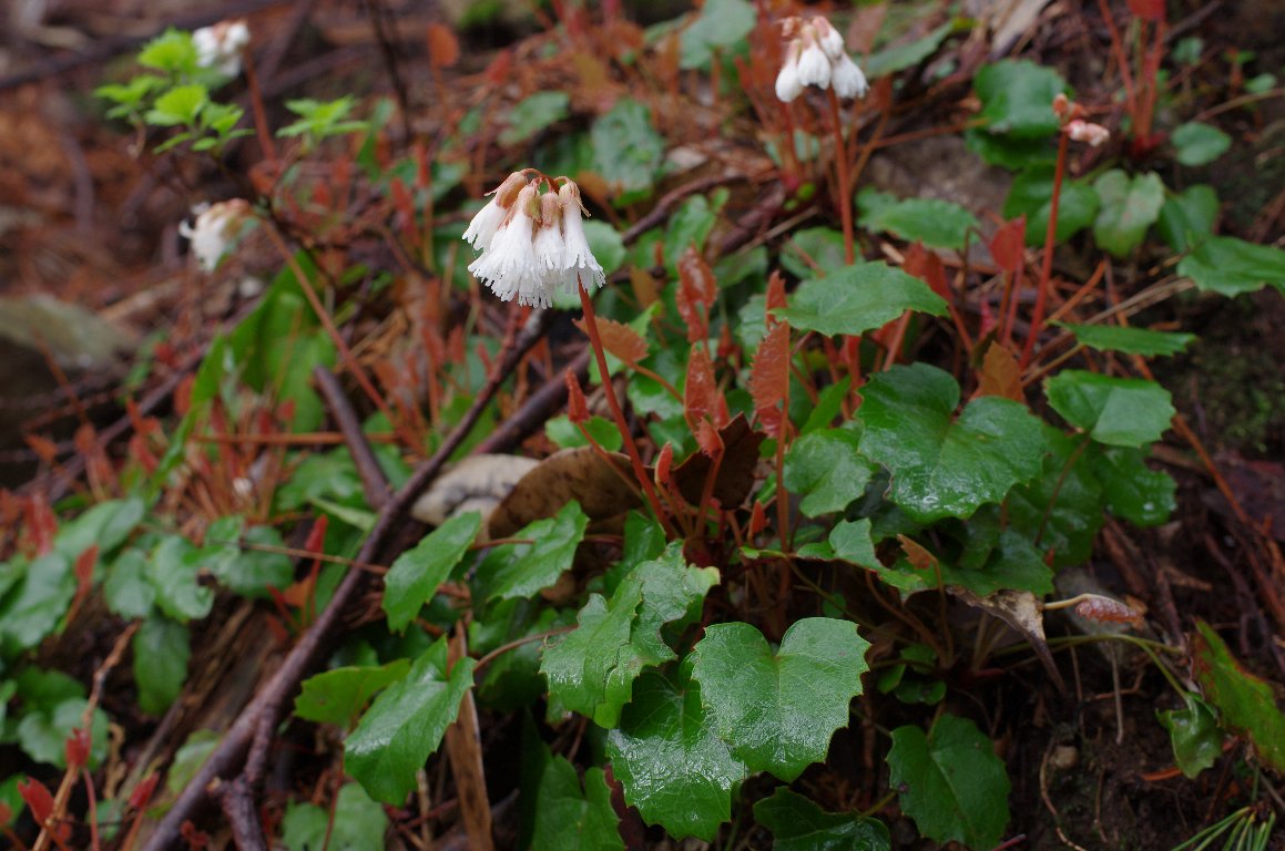 ���}�C���J�K�~