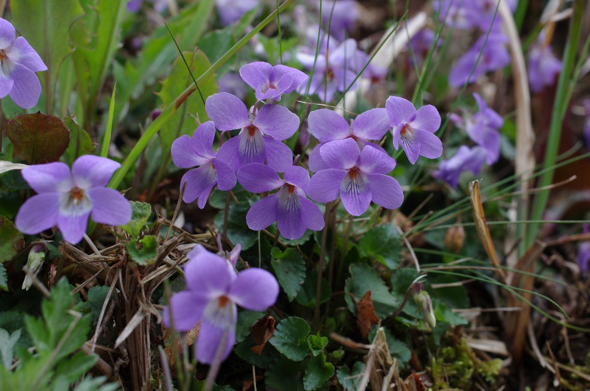 �^�`�c�{�X�~��