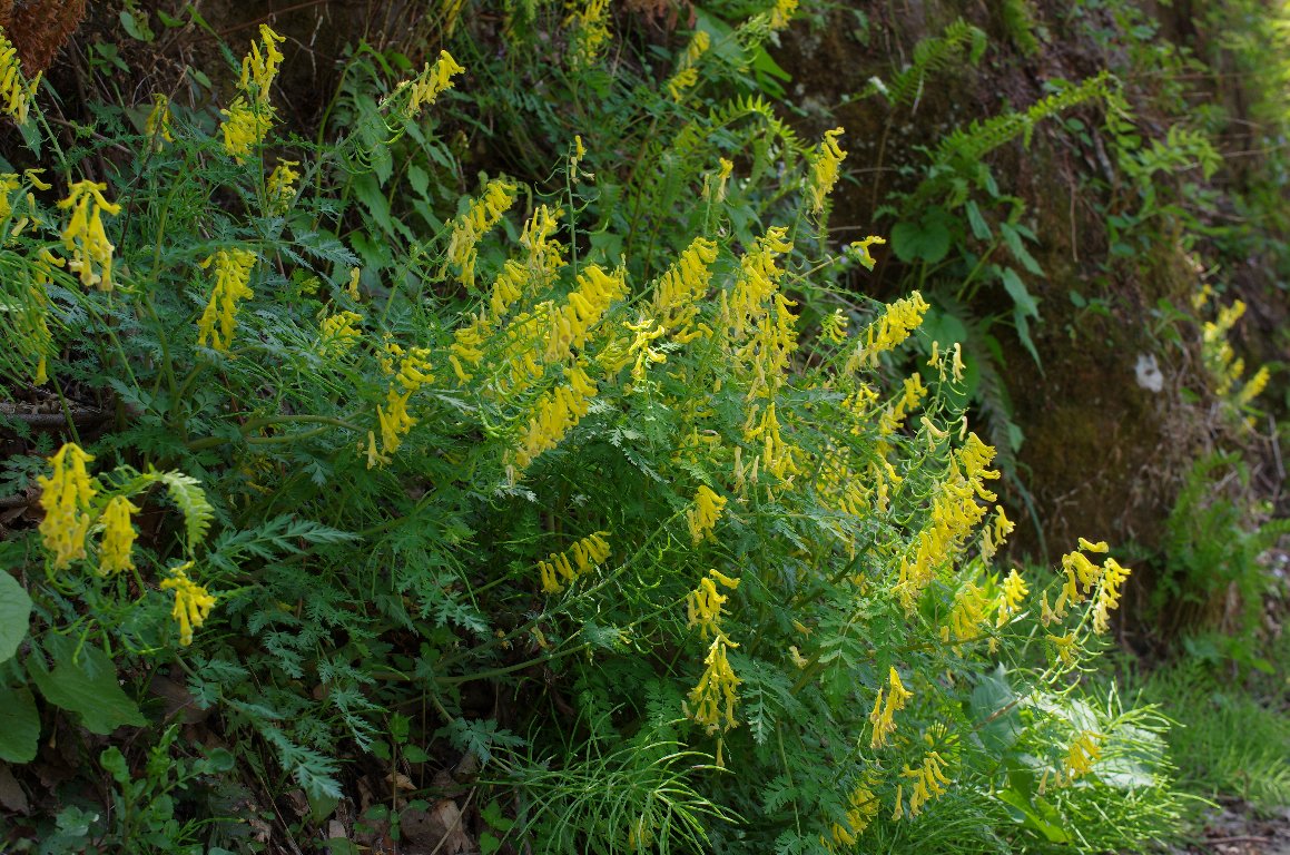 �~���}�L�P�}��