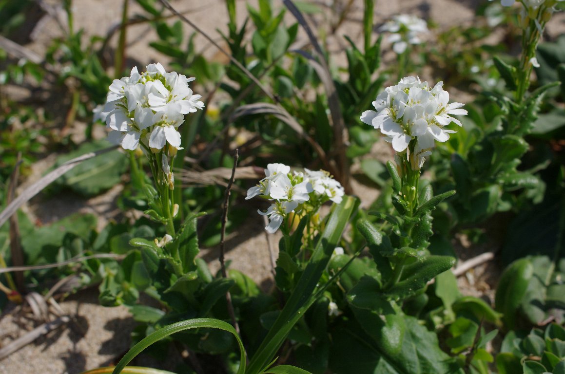 �n�}�n�^�U�I