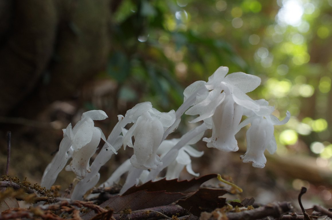 �M�������E�\�E