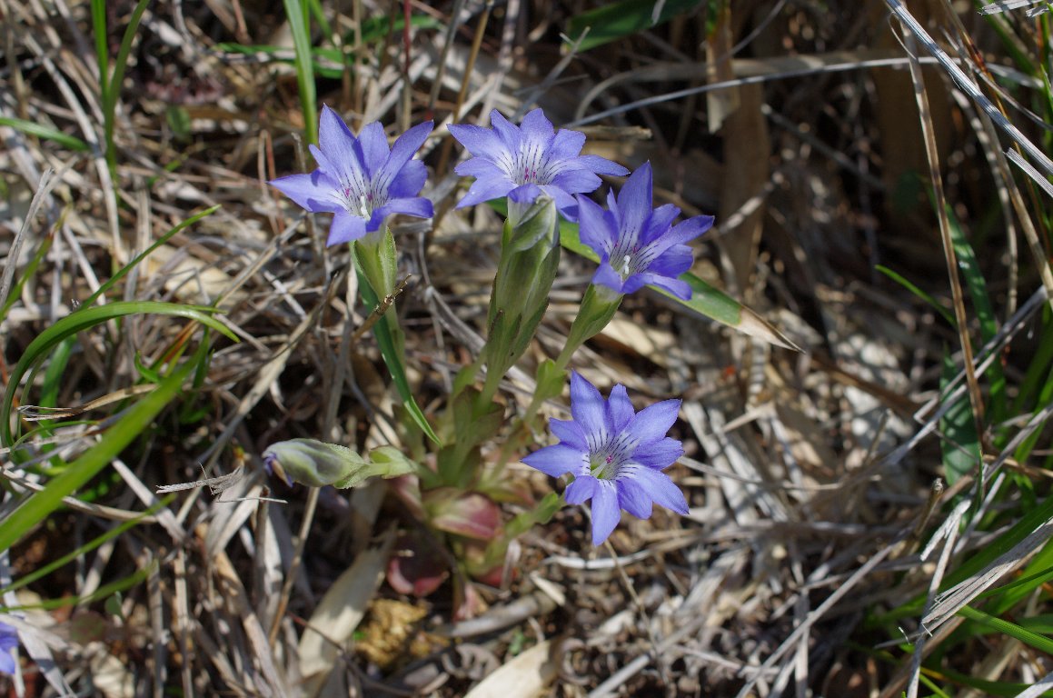 �n�������h�E