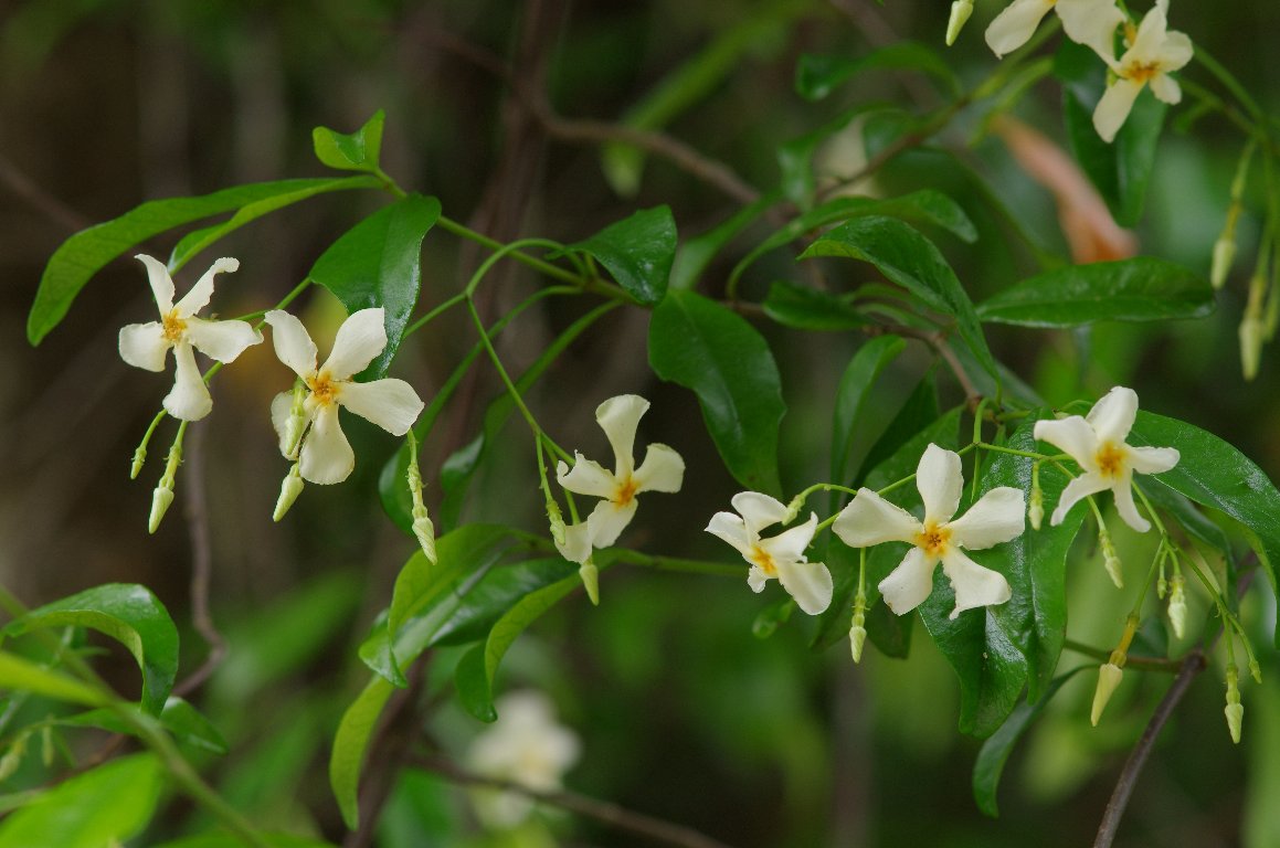 �e�C�J�J�Y��