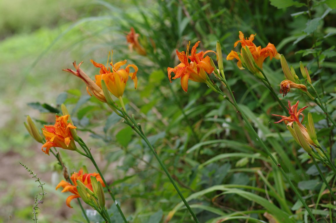 ���u�J���]�E