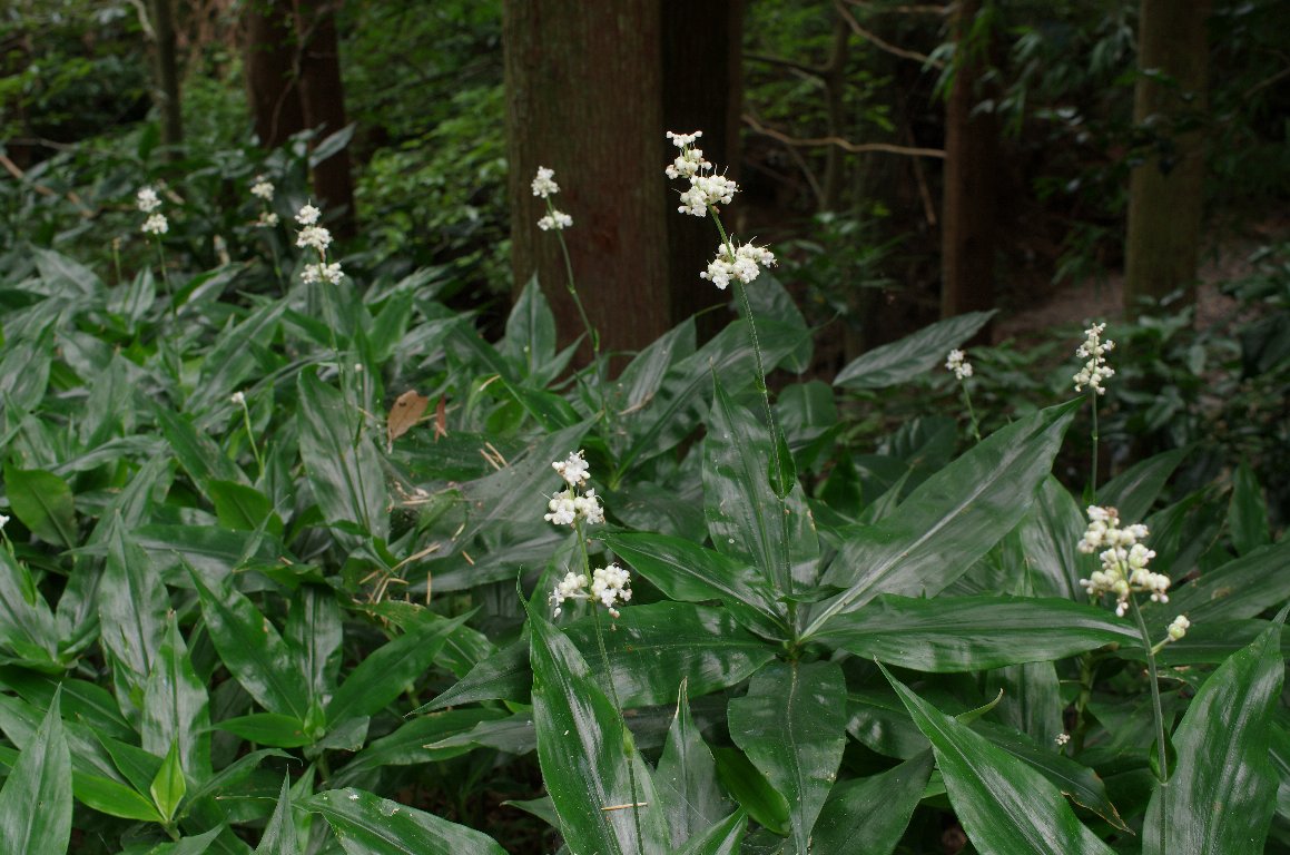 ���u�~���E�K