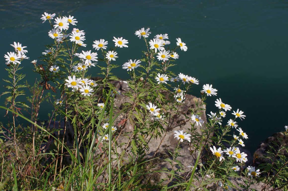 �i�J�K���m�M�N