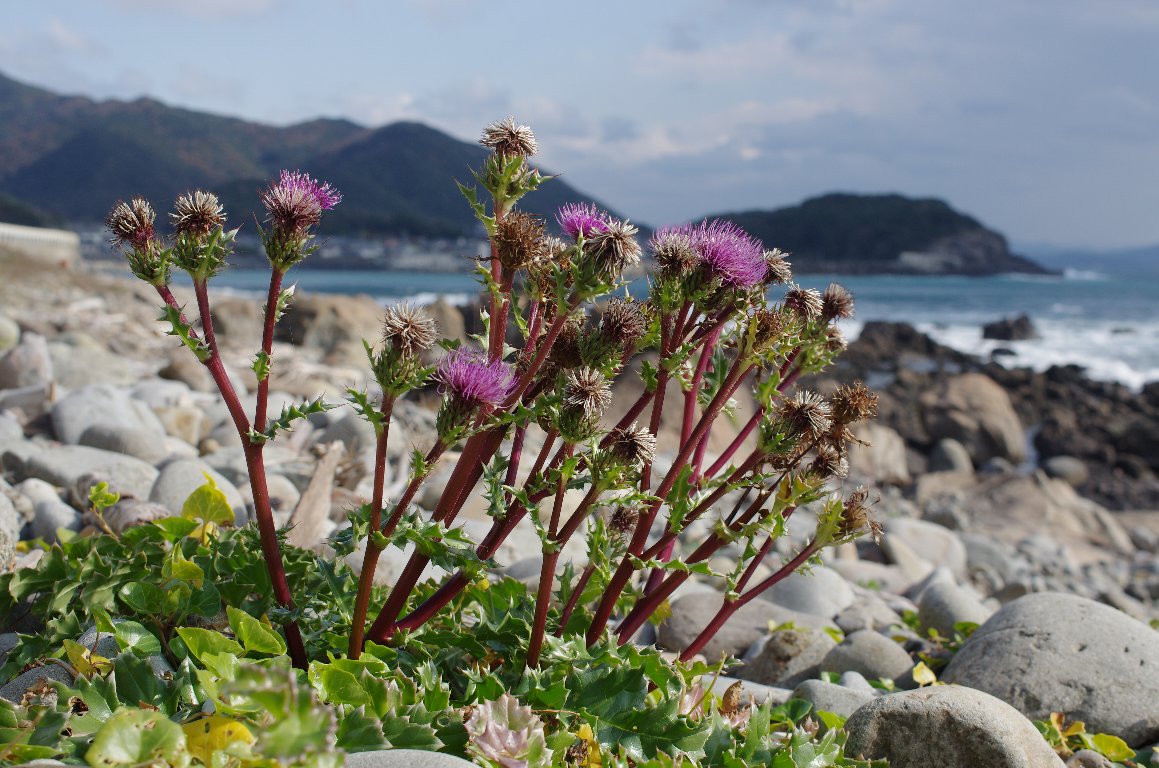 �n�}�A�U�~