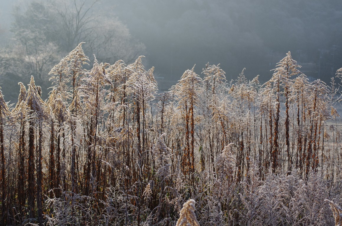 �Z�C�^�J�A���_�`�\�E