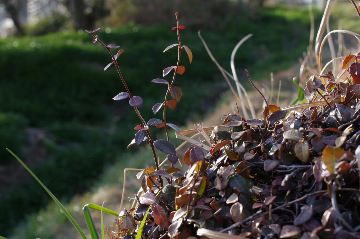 �e�C�J�J�Y��